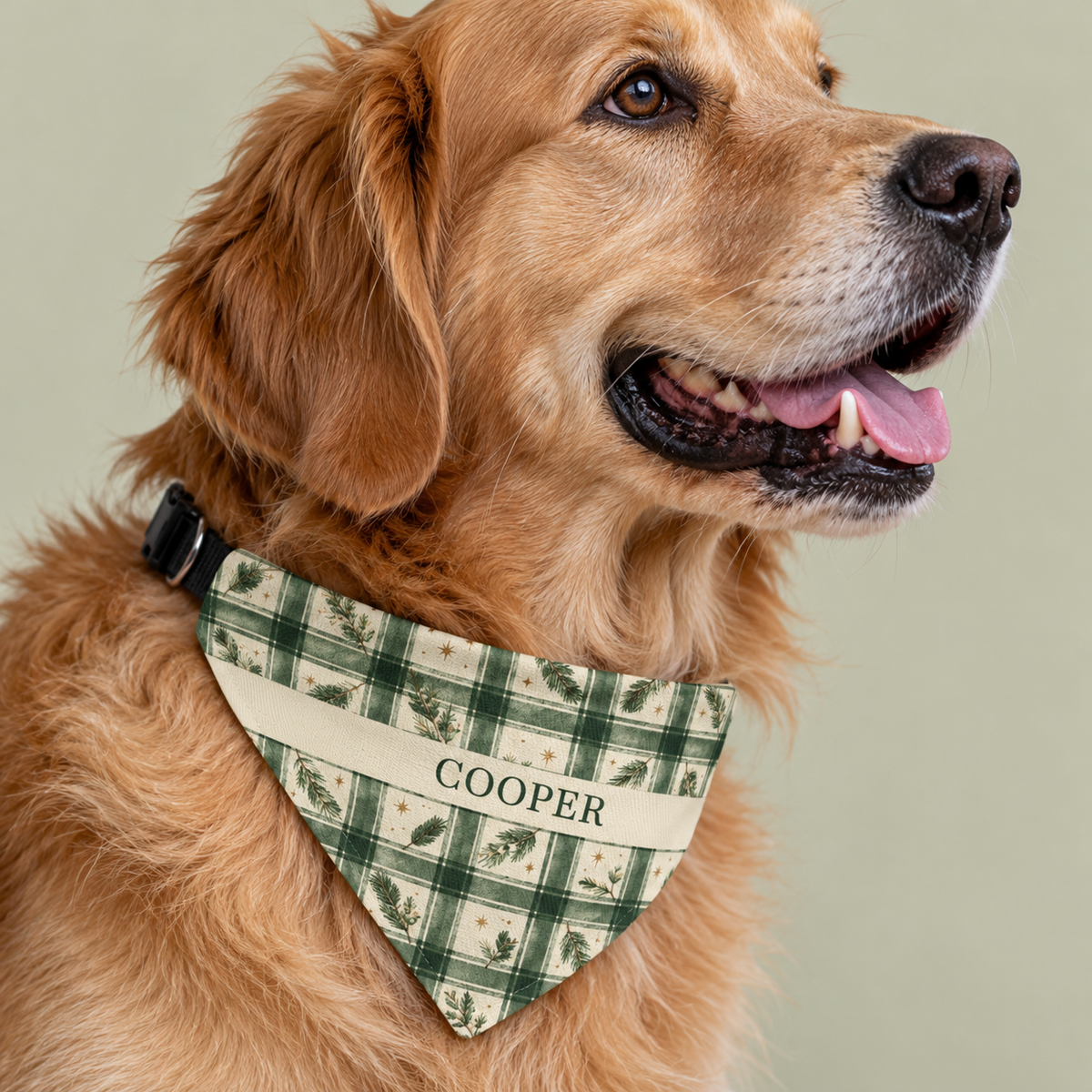 Personalized Christmas Dog Bandana with Name